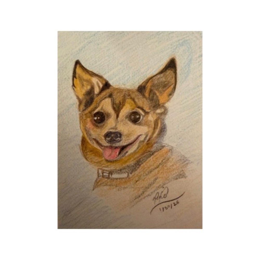 Custom Pet Portrait Commissions